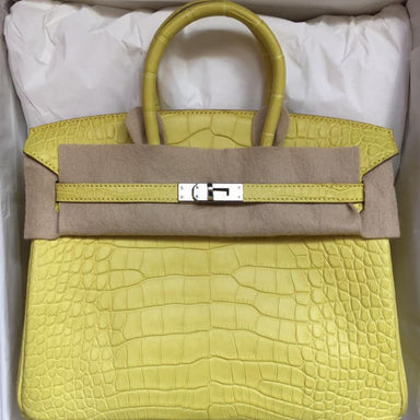 Hermès Birkin 25 Lime Alligator Mississippi Matte Palladium Hardware PHW C Stamp 2018 - The French Hunter