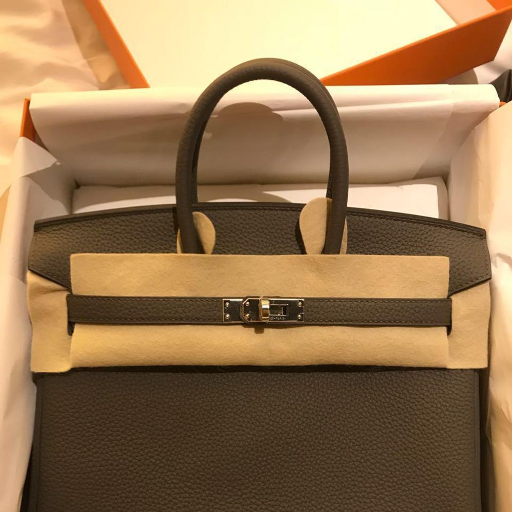 Hermes Birkin 25 Etoupe Togo Palladium Hardware Handbag 2018 in Box