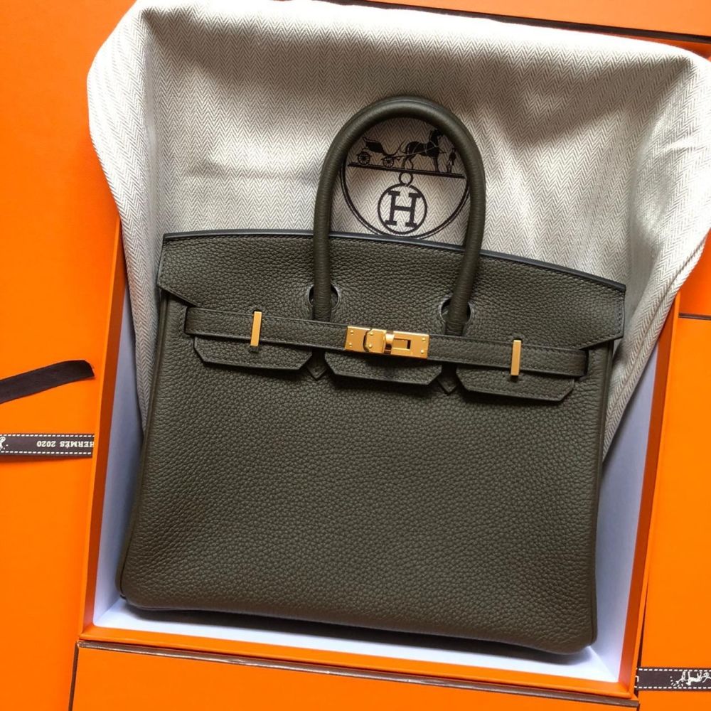 Hermes Birkin 25 Bag Vert Rousseau Togo Gold Hardware • MIGHTYCHIC • 