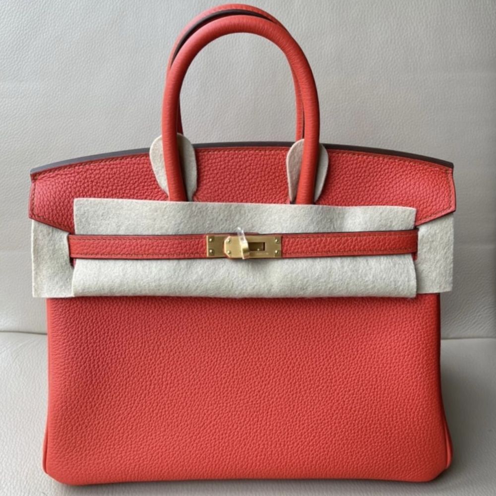 Hermes Birkin bag 25 Capucine Togo leather Silver hardware